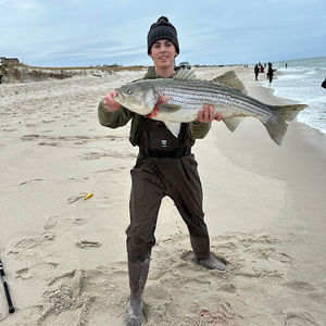 Meet your Posher, Hunter